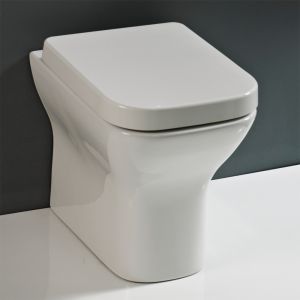 Petite  Modern Back to Wall Toilet
