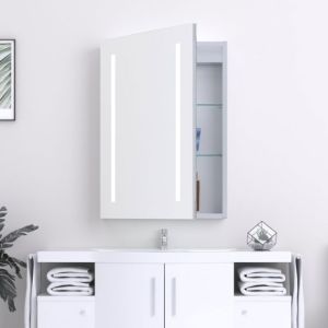 Iwata 700mm x 500mm LED Mirrored Bathroom Cabinet with Shaver Socket